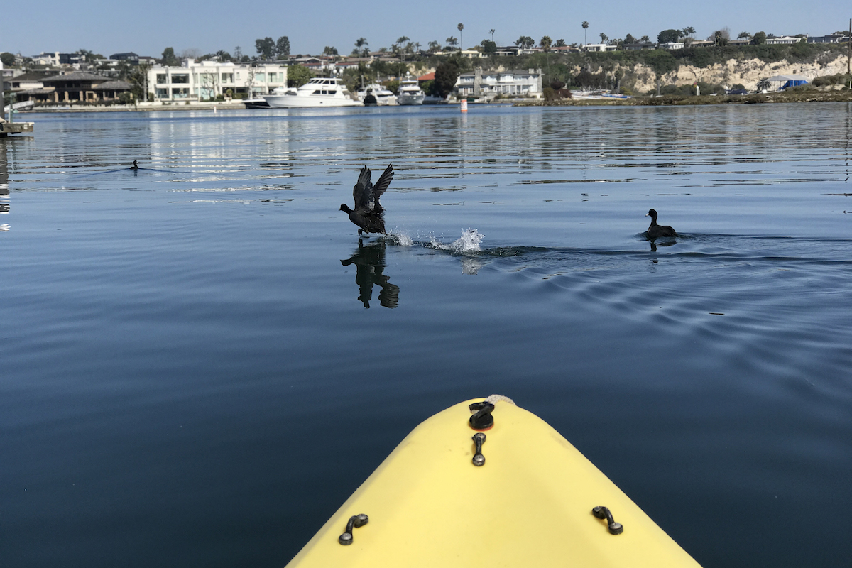 camping-idea-water-kayak