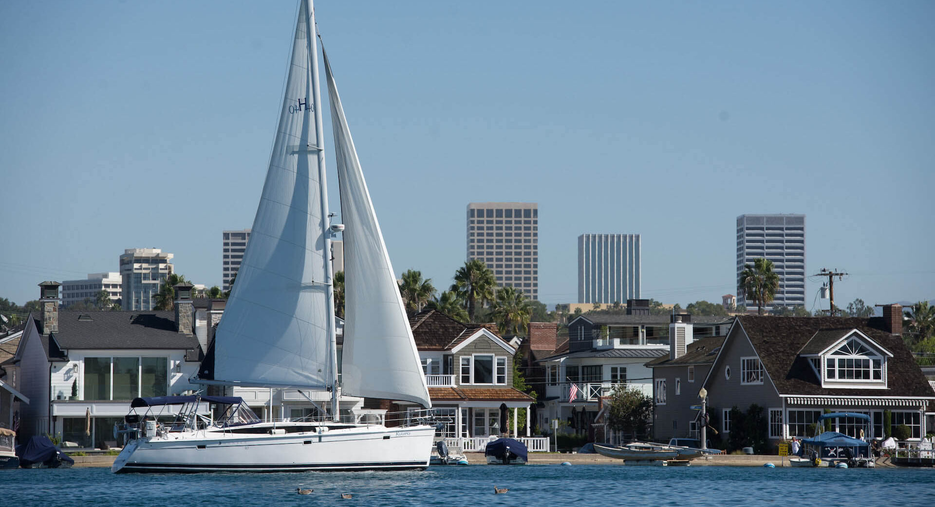 sailing in Newport Harbor